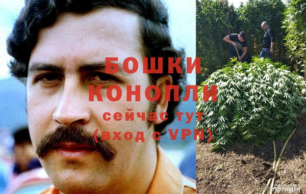 ECSTASY Богородск