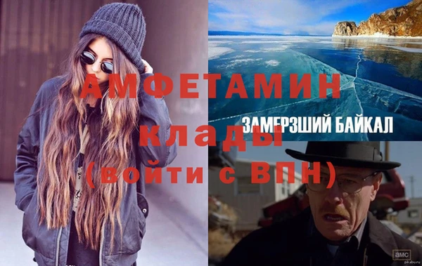 прущие грибы Богородицк