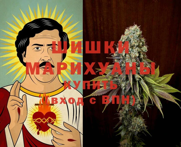 прущие грибы Богородицк