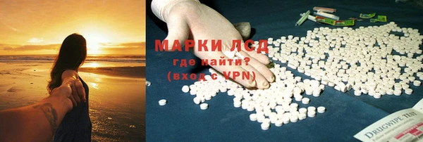 прущие грибы Богородицк