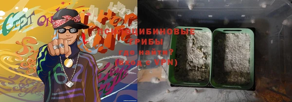ECSTASY Богородск